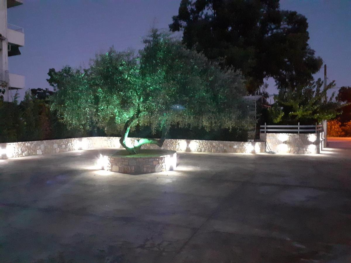 Blue Horizon Apartments&Maisonettes Limenaria  Exterior foto